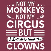 Not My Circus Not My Monkeys But I Definitely Know The Clowns 16oz Travel Tumbler