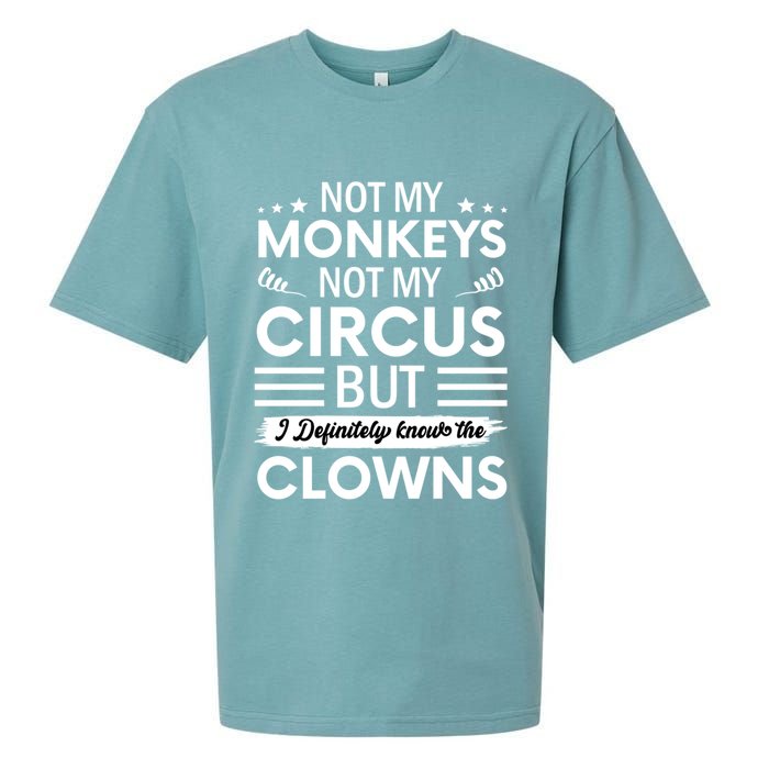 Not My Circus Not My Monkeys But I Definitely Know The Clowns Sueded Cloud Jersey T-Shirt