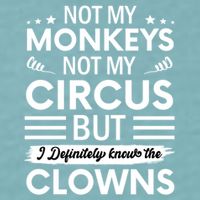 Not My Circus Not My Monkeys But I Definitely Know The Clowns Sueded Cloud Jersey T-Shirt