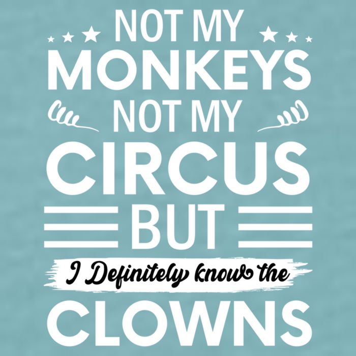 Not My Circus Not My Monkeys But I Definitely Know The Clowns Sueded Cloud Jersey T-Shirt