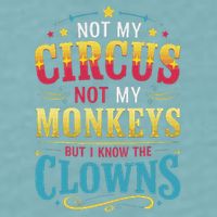 Not My Circus Not My Monkeys But I Know The Clowns Sueded Cloud Jersey T-Shirt