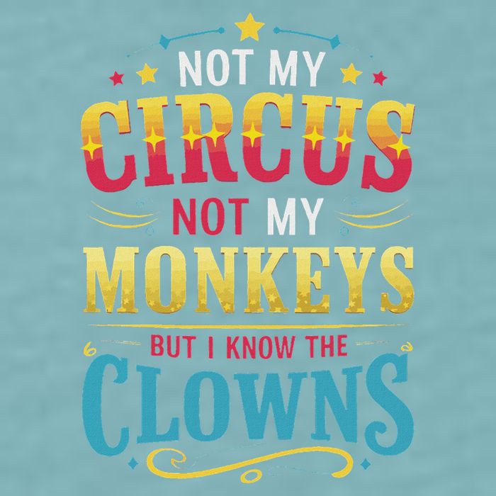 Not My Circus Not My Monkeys But I Know The Clowns Sueded Cloud Jersey T-Shirt