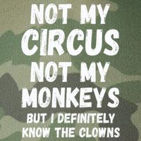 Not My Circus Not My Monkeys But I Definitely Know The Clowns Legacy Tie Dye Trucker Hat