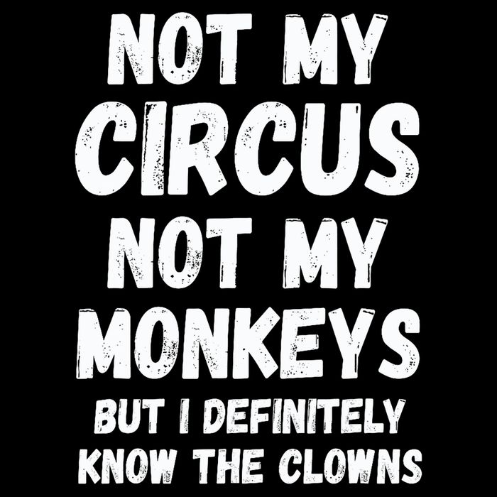 Not My Circus Not My Monkeys But I Definitely Know The Clowns Flat Bill Trucker Hat