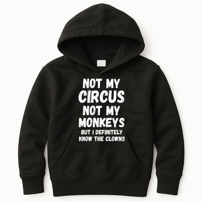 Not My Circus Not My Monkeys But I Definitely Know The Clowns Kids Hoodie