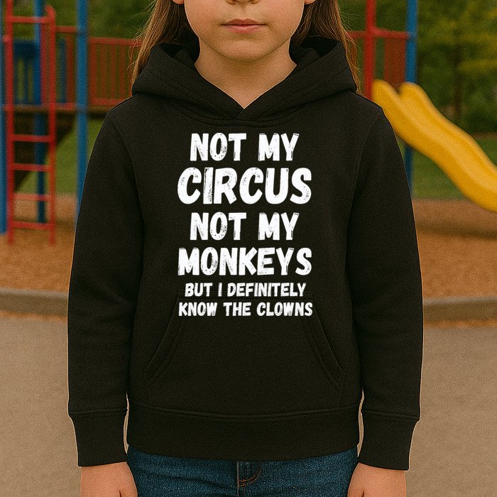 Not My Circus Not My Monkeys But I Definitely Know The Clowns Kids Hoodie