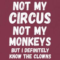 Not My Circus Not My Monkeys But I Definitely Know The Clowns 16oz Travel Tumbler