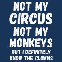 Not My Circus Not My Monkeys But I Definitely Know The Clowns Infant Baby Jersey Bodysuit