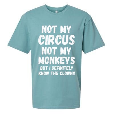 Not My Circus Not My Monkeys But I Definitely Know The Clowns Sueded Cloud Jersey T-Shirt