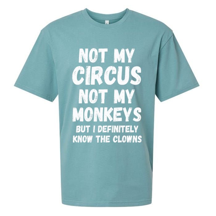 Not My Circus Not My Monkeys But I Definitely Know The Clowns Sueded Cloud Jersey T-Shirt