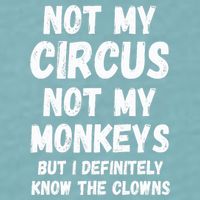 Not My Circus Not My Monkeys But I Definitely Know The Clowns Sueded Cloud Jersey T-Shirt