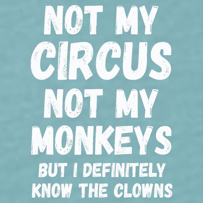 Not My Circus Not My Monkeys But I Definitely Know The Clowns Sueded Cloud Jersey T-Shirt