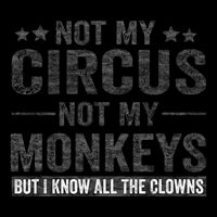 Not My Circus Not My Monkeys But I Know All The Clowns 16oz Travel Tumbler