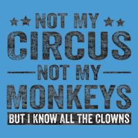 Not My Circus Not My Monkeys But I Know All The Clowns Tie Dye Hoodie