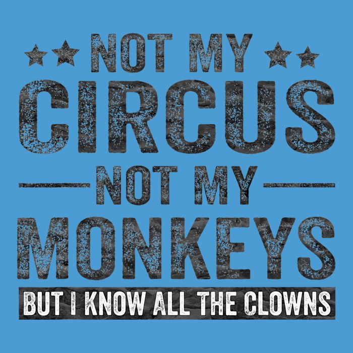 Not My Circus Not My Monkeys But I Know All The Clowns Tie Dye Hoodie