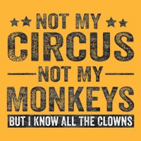 Not My Circus Not My Monkeys But I Know All The Clowns Pom Pom 12in Knit Beanie