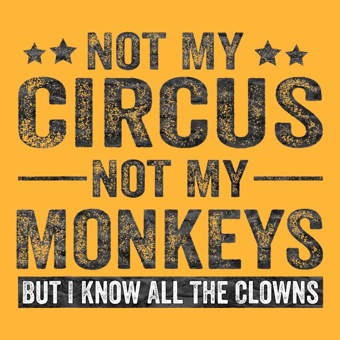 Not My Circus Not My Monkeys But I Know All The Clowns Pom Pom 12in Knit Beanie