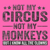 Not My Circus Not My Monkeys But I Know All The Clowns Stripe Pom Pom Beanie