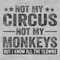 Not My Circus Not My Monkeys But I Know All The Clowns Ladies PosiCharge Tri-Blend Wicking Tank