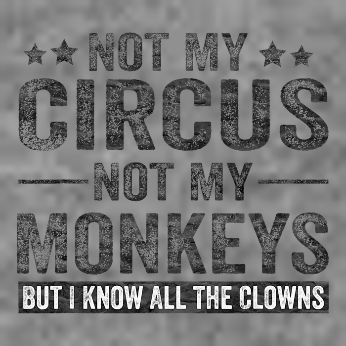 Not My Circus Not My Monkeys But I Know All The Clowns Toddler Sweatshirt