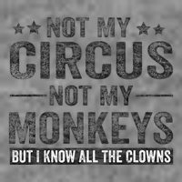 Not My Circus Not My Monkeys But I Know All The Clowns Toddler Hoodie