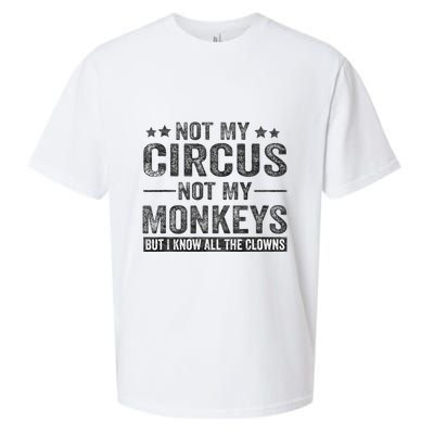 Not My Circus Not My Monkeys But I Know All The Clowns Sueded Cloud Jersey T-Shirt