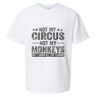 Not My Circus Not My Monkeys But I Know All The Clowns Sueded Cloud Jersey T-Shirt