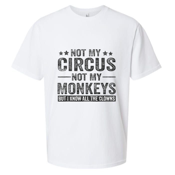 Not My Circus Not My Monkeys But I Know All The Clowns Sueded Cloud Jersey T-Shirt