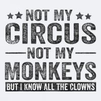 Not My Circus Not My Monkeys But I Know All The Clowns Sueded Cloud Jersey T-Shirt