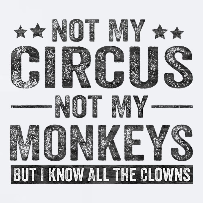 Not My Circus Not My Monkeys But I Know All The Clowns Sueded Cloud Jersey T-Shirt