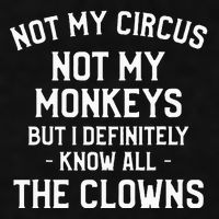 Not My Circus Not My Monkeys But I Definitely Know Nanny Ladies PosiCharge Tri-Blend Wicking Tank