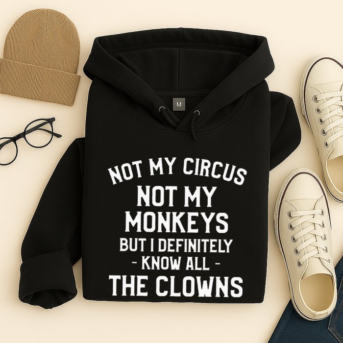Not My Circus Not My Monkeys But I Definitely Know Nanny Hoodie