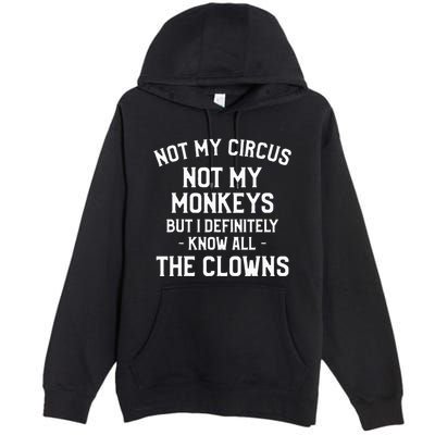 Not My Circus Not My Monkeys But I Definitely Know Nanny Premium Pullover Hoodie
