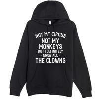 Not My Circus Not My Monkeys But I Definitely Know Nanny Premium Pullover Hoodie