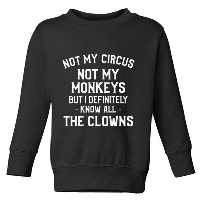 Not My Circus Not My Monkeys But I Definitely Know Nanny Toddler Sweatshirt