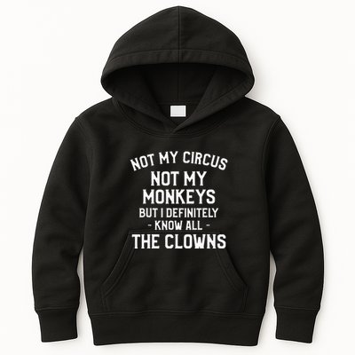 Not My Circus Not My Monkeys But I Definitely Know Nanny Kids Hoodie