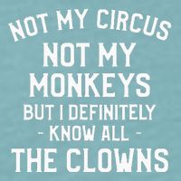 Not My Circus Not My Monkeys But I Definitely Know Nanny Sueded Cloud Jersey T-Shirt