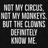 Not My Circus Not My Monkeys But The Clowns Definitely Know Ladies PosiCharge Tri-Blend Wicking Tank