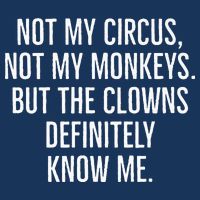 Not My Circus Not My Monkeys But The Clowns Definitely Know Infant Baby Jersey Bodysuit