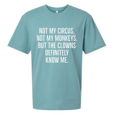 Not My Circus Not My Monkeys But The Clowns Definitely Know Sueded Cloud Jersey T-Shirt