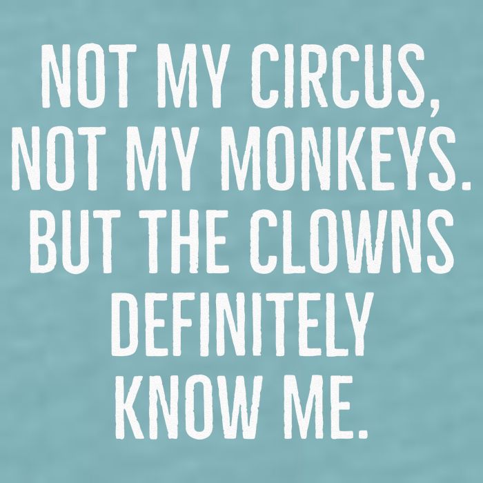 Not My Circus Not My Monkeys But The Clowns Definitely Know Sueded Cloud Jersey T-Shirt