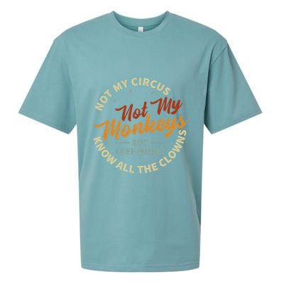 Not My Circus Not My Monkeys But I Know All The Clowns Sueded Cloud Jersey T-Shirt