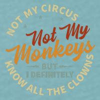 Not My Circus Not My Monkeys But I Know All The Clowns Sueded Cloud Jersey T-Shirt