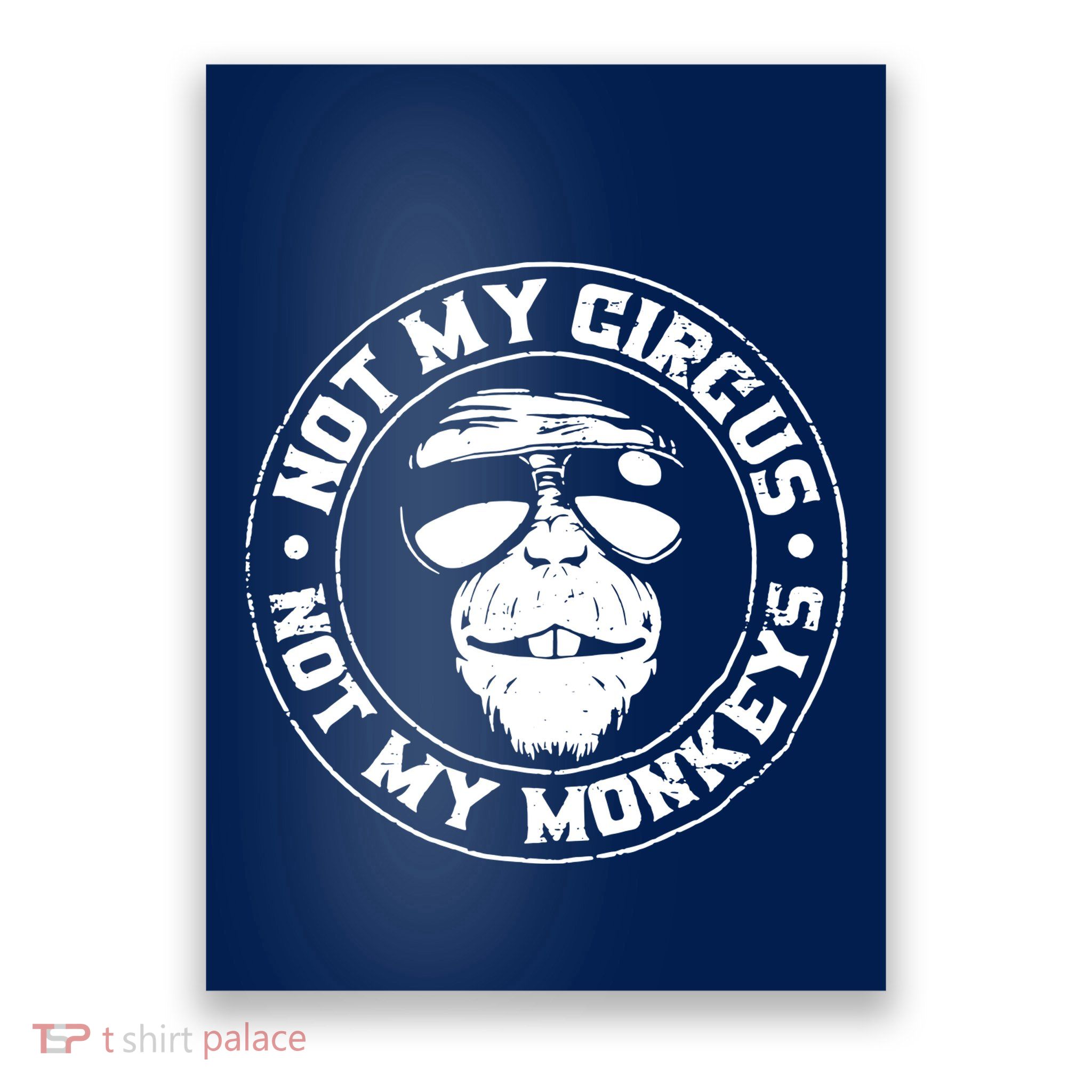 Not My Circus Not My Monkeys Poster