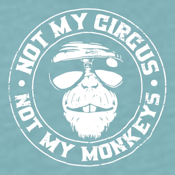 Not My Circus Not My Monkeys Sueded Cloud Jersey T-Shirt