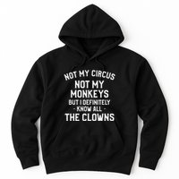 Not My Circus Not My Monkeys But I Definitely Know Nanny Hoodie