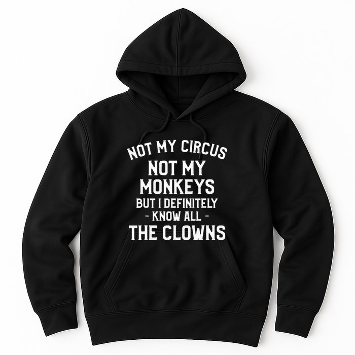 Not My Circus Not My Monkeys But I Definitely Know Nanny Hoodie