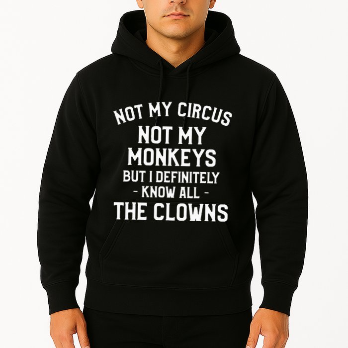 Not My Circus Not My Monkeys But I Definitely Know Nanny Hoodie