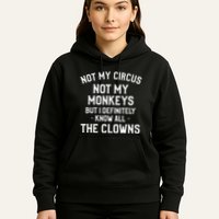 Not My Circus Not My Monkeys But I Definitely Know Nanny Hoodie