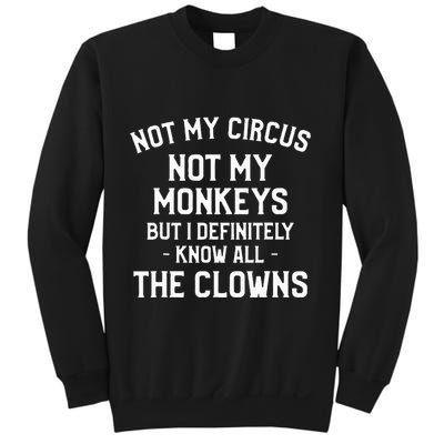 Not My Circus Not My Monkeys But I Definitely Know Nanny Sweatshirt
